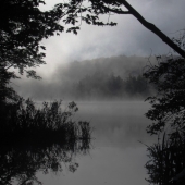 "Grafton-Pond-19-June-1-1250-f7"