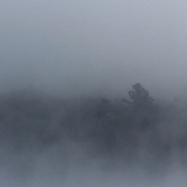 "Grafton-Pond-24-Sept-1-800-f5-2"