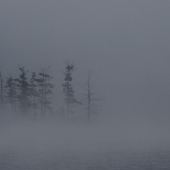 "Grafton-Pond-24-Sept-1-800-f5"