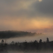 "Grafton-Pond-29-August-1-1000-f5"