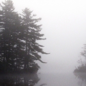 “Grafton Pond 5 August 1-1250 f5 - www.marklennonimages.com