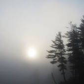 "Grafton-Pond-5-August-1-1600-f4"