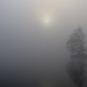 "Grafton-Pond-8-August-1-1250-f4"