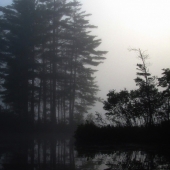 "Grafton-Pond-8-August-1-2000-f5"