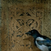 Mathieu Nozieres – “Magpie” - www.mathieunozieres.com