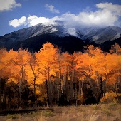 Matthew Jackson – “Autumn in the Rockies” - http://matthewjackson.imagekind.com/