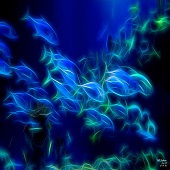 Matthew Jackson – “Tuna” - http://matthewjackson.imagekind.com/