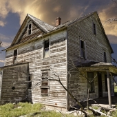 Maureen Ravnik – “Sentinel In The Wind” - www.maureenravnik.crevado.com