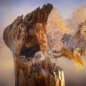 Maureen Ravnik – “Coming Home” - www.maureenravnik.crevado.com