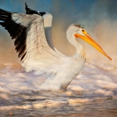 Maureen Ravnik – “Wave Dancer” - www.maureenravnik.crevado.com