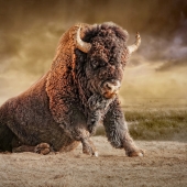 Maureen Ravnik – “Power & Attitude” - www.maureenravnik.crevado.com