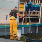 Mike Maron – “Cleaning the Steadying Sail” - www.mikemaron.artspan.com