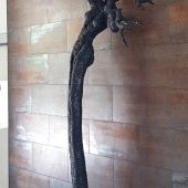 Mira DeMartino – “Ready for Freedom” - www.mirademartino.com