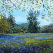 Murray Ince – “Allstellach Bluebells” - www.murrayince.com