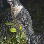 H - 8th Place - Paint - Anderson-C (1) Img #2 The Hunter