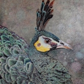 J - 10th Place - Paint - Guiseppi (1) Img #1 Green Peafowl