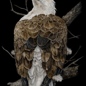 F - 6th Place - Paint - Johnson-GA (1) Img #2 Overlooking