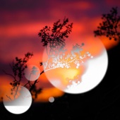 10th Place – Overall - Bruce Wilson II - “Cynosure” – www.kindlebardstudio.com/art-market