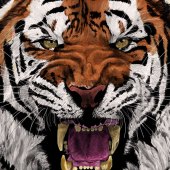 2nd Place – Overall - Kathy S. Copsey - “The Fury Within” – www.ksdesigns16.com