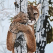 8th Place – Overall - Gemma Gylling - “A Sudden Encounter” – www.gemmagylling.com