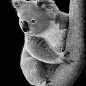 Linda Lunnon - “Who me?” – www.lindalunnon.com