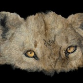 George Ann Johnson - “Serengeti” – gaj@gajart.com