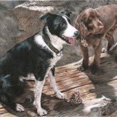 Sema Martin - “Brother Love” – www.semamartin.com