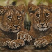 Sabine Lackner - “Sweet Little Friends” – www.tier-zeichnungen.at