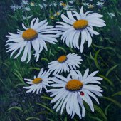 Murray William Cole Ince - “Ox-Eye Daisies” – www.www.murrayince.com