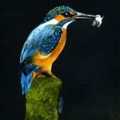 Murray William Cole Ince - “Kingfisher” – www.www.murrayince.com