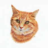 Laura Milewski - “Ginger Morning” – lauramilewski@web.de