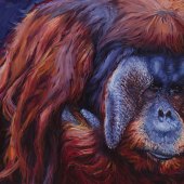 Carrie Cook - “Rudi” – www.carriecook.com