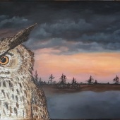 Sandra Veillette - “Close Supervision  Surveillance Etroite” – www.lesaimantsdelanature.ca