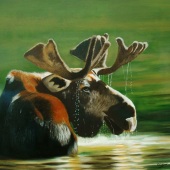 Jean Yves Crispo - “Monarch” – www.artquid.com/jeanyvescrispo