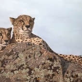 Henriette van Staden - “Peace” – www.thecountrycreative.co.za