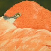 Carol Corliss - “Sleeping with One Eye Open” – www.carolcorlissfineart.com