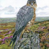 Gemma Best - “Home and Away” – gemmabestart@gmail.com