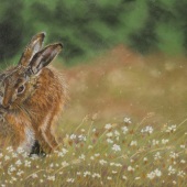 Gemma Best - “Resting” – gemmabestart@gmail.com