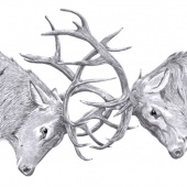 Helen Brown-Campbell - “Rutting Stags” – www.artbyhelenbc.co.uk