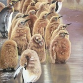 Wanling Viola Chen - “Transformation” – violachen2014@gmail.com