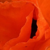 Gunilla Lofgren - “Sensual” – www.skatubacken.se