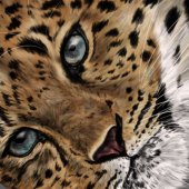 Kathy S. Copsey - “Gazing into the Soul” – www.ksdesigns16.com