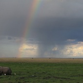 Theodore Heublein - “Elephant at Rainbows End” – www.theodoreheubleinart.com