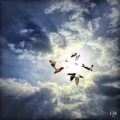 Carolyn Dakin - “Paradise Ducks” – www.artboja.com/search.php?q=Carolyn+Dakin