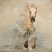Barbara Mierau-Klein - “Running Horse” – www.barbaramierauklein.com