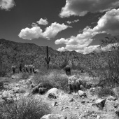 Sarah Goseyun - “White Tank Mountains” – sarahbwstudio@gmail.com