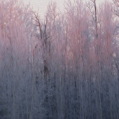 Phoebe Hunter - “Frost Moon” – www.phoebekatherinehunter.com