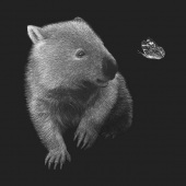 Linda Lunnon - “Lola” – www.lindalunnon.com