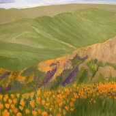 Rich Magram - “Poppy Ridge” – www.richmagram.com