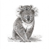 Daisy Claridge - “Into the Unknown” – www.daisyclaridge.com.au